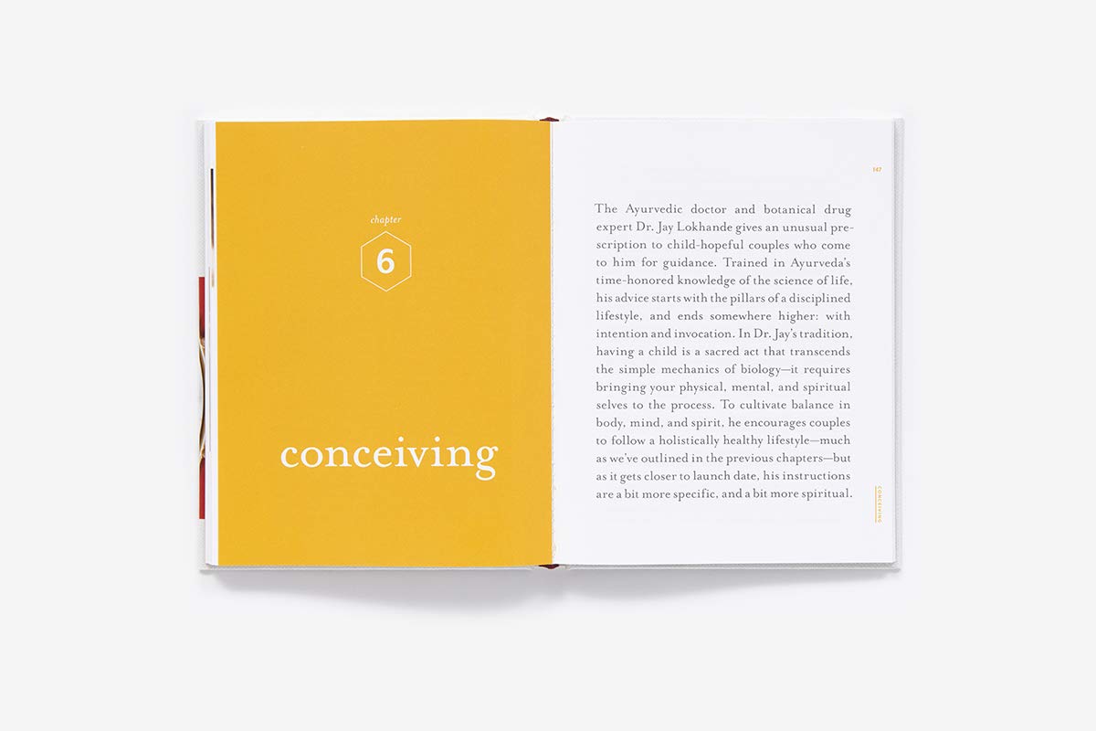 Awakening Fertility: The Essential Art of Preparing for Pregnancy - Image 8